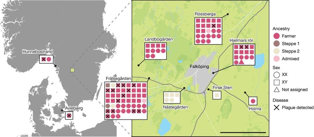 Os locais escandinavos onde a peste foi identificada em pessoas da Idade da Pedra (Imagem: Seersholm et al./Nature)