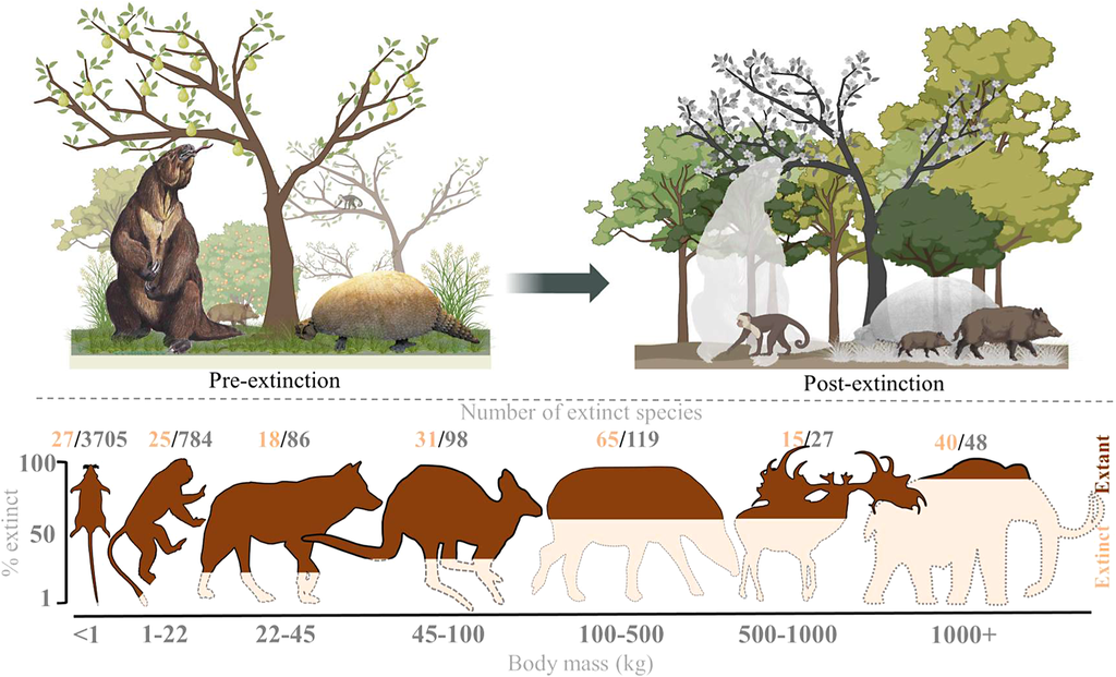 A megafauna, no passado, incluía preguiças-gigantes e gliptodontes, mas hoje é restrita a espécies menores, salvo raras exceções, como avaliam os cientistas (Imagem: Svenning et al./Cambridge Prisms: Extinction)