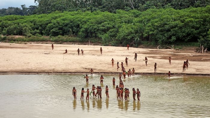 Vídeo mostra tribo isolada se aproximando de áreas de extrativismo na Amazônia - 1