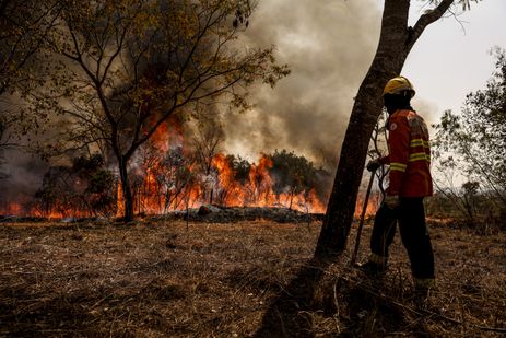 Brasília (DF), 24/08/2024 - Brigadistas do Instituto Brasília Ambiental e Bombeiros do Distrito Federal combatem incêndio em área de cerrado próxima ao aeroporto de Brasília. Foto: Marcelo Camargo/Agência Brasil