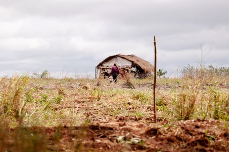 Dourados (MS), 25/08/2024 - Área rural ocupada por indígenas nos arredores da reserva indígena de Dourados.  Foto: Tânia Rêgo/Agência Brasil