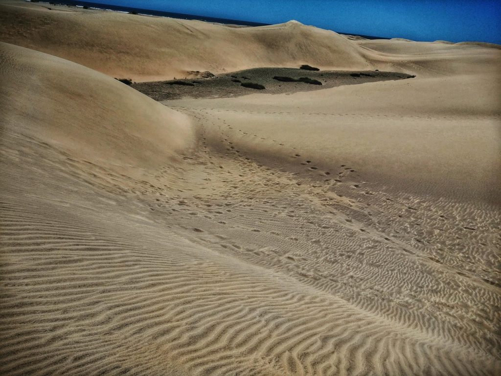 maspalomas, dunas, sand, duna, desert, nature, sahara, dune, adventure, dessert, sun, hot, trip